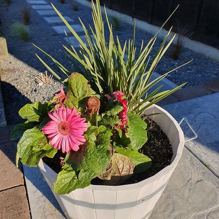 Mangaroa, Farmstay Upper Hutt Buitenkant foto